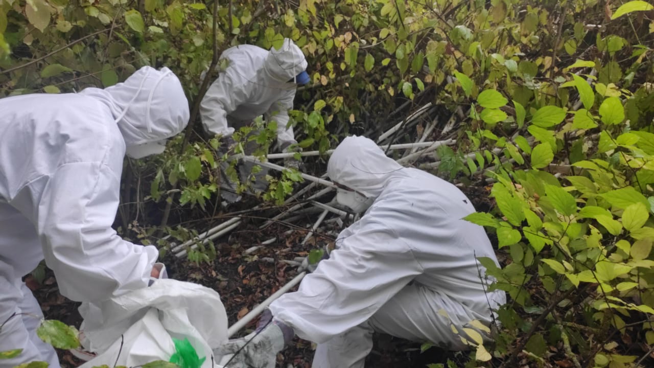 Инспекторы Росприроднадзора приняли участие в ликвидации свалки ртутьсодержащих отходов в Краснодаре